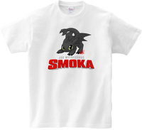 Koszulka T-shirt Jak wytresować Smoka
