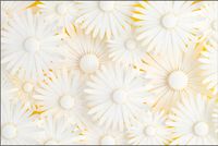 Tło fotograficzne Produktowe FLAT LAT Kulinarne