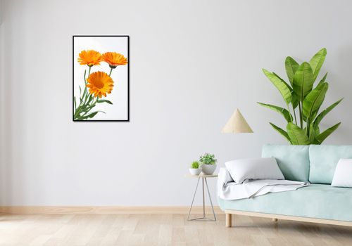 Plakat 53x81cm Słoneczne Kalendule na Arena.pl