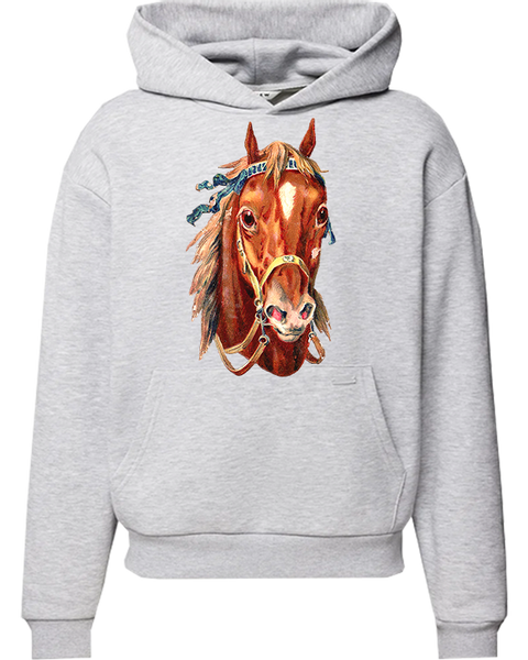 Bluza z kapturem Konie zdjęcie 1