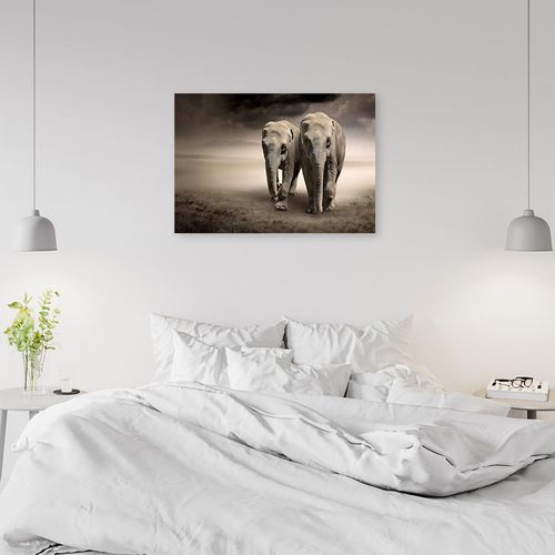 Deco Panel, Słonie na pustyni 60x40 na Arena.pl