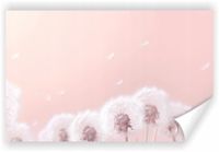 Fototapeta PREMIUM STRUKTURA ZMYWALANA puch mniszka lekarskiego pudrowy róż