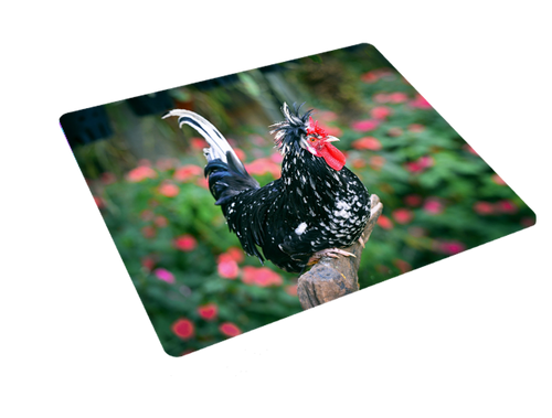 Podkładka pod myszkę Kury na Arena.pl