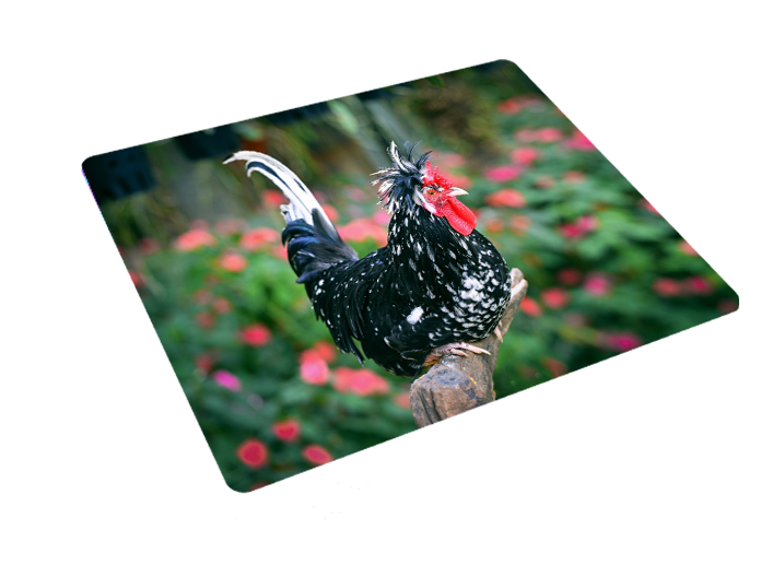 Podkładka pod myszkę Kury zdjęcie 3