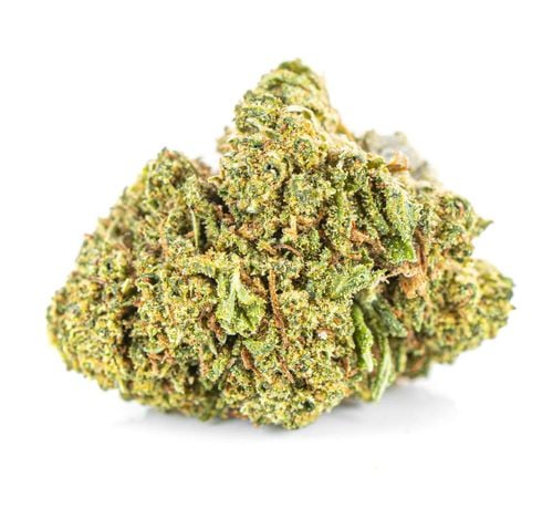 Susz konopny CBD | AMNESIA HAZE | 100 g na Arena.pl