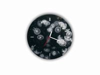 ZEGAR SZKLANY OKRĄGŁY - Meduzy