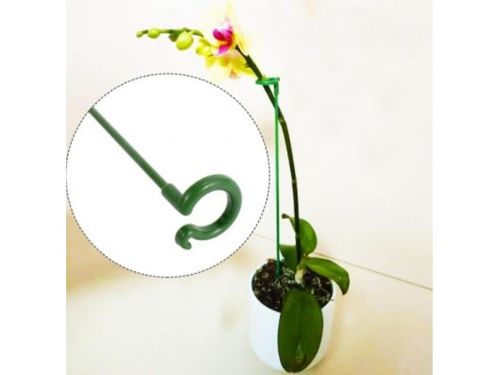 Podpora podpórka do roślin kwiatów storczyków obejma tyczka 37cm na Arena.pl
