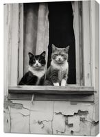 Obraz 70x100cm Para w Oknie