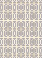 Dywan Agnella Funky Top Isa Grey 120X160