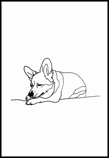 Plakat 61x91,5cm Śpiący Corgacz zdjęcie 3