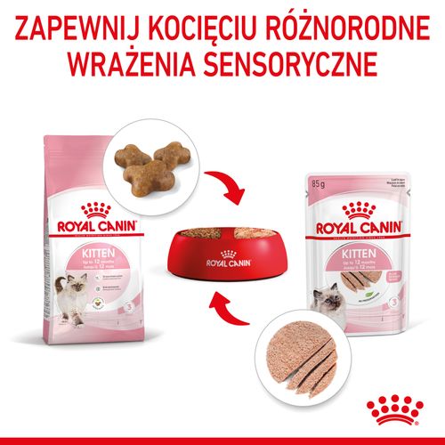 royal canin kitten pasztet 12x85g na Arena.pl