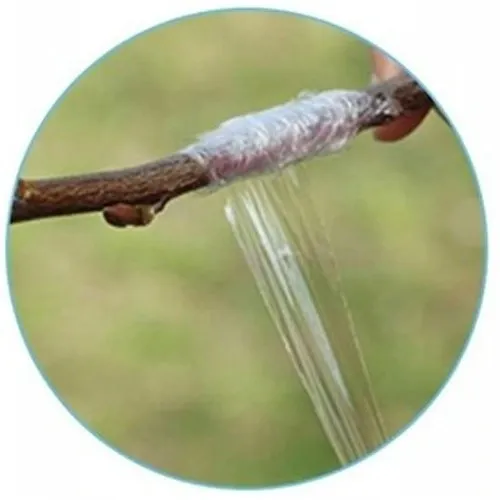 ZESTAW SEKATOR NOŻYCE NOŻYCZKI OGRODOWE DO SZCZEPIEŃ OKULIZACJI DRZEW TAŚMA na Arena.pl