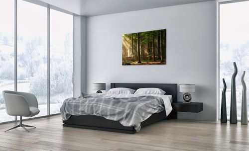 Obraz Na Płótnie - Las Drzewa Chrust  - 100X70 Cm - Aa100X70-3628 na Arena.pl