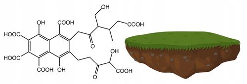 Kwas Fulwowy DETOXINE przyswajanie witamin 200ml. na Arena.pl