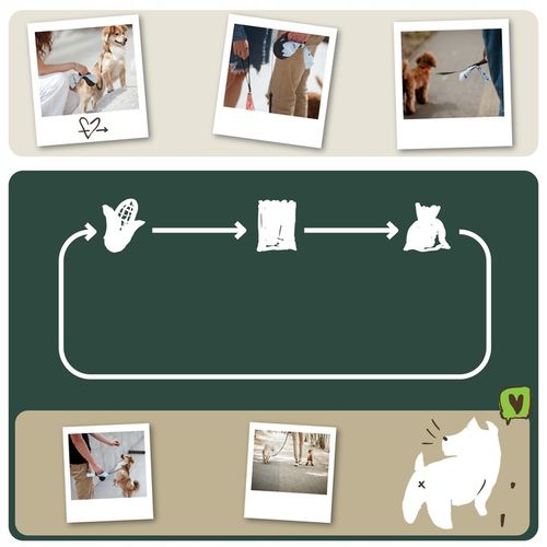 Woreczki na psie odchody kupy KOMPOSTOWALNE 165x na Arena.pl