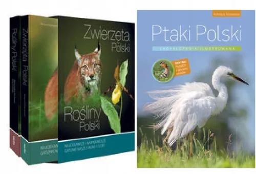 Ptaki Polski. Encyklopedia ilustrowana na Arena.pl