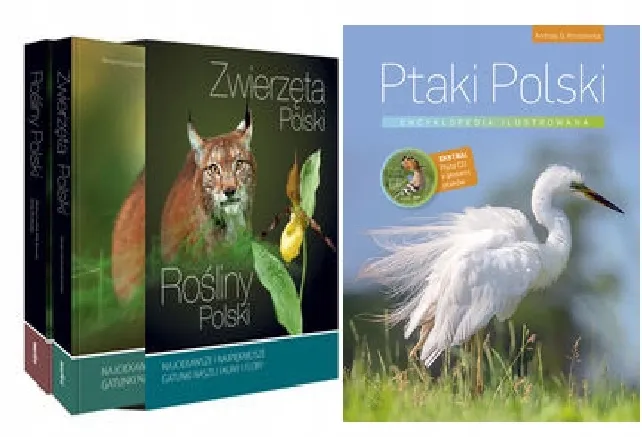 Ptaki Polski. Encyklopedia ilustrowana zdjęcie 2