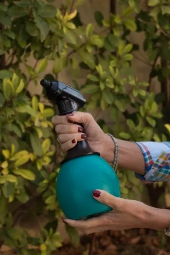 Opryskiwacz akumulatorowy Forest 1 zdjęcie 3