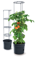 Doniczka do uprawy pomidorów Tomato Grower 28L - antracyt