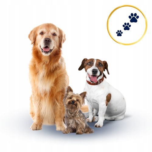 SUCHA KARMA DLA PSA POLARIS ADULT BEZ ZBÓŻ WOŁOWINA INDYK 12KG ŚWIEŻE MIĘSO na Arena.pl