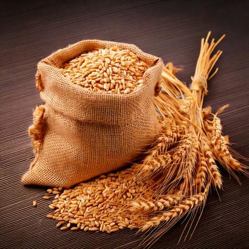 Słód pszeniczny Viking Malt (3-6 EBC) 1kg na Arena.pl