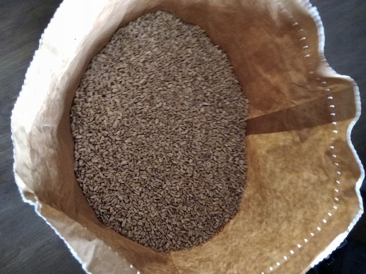 Słonecznik łuskany 25 kg zdjęcie 3