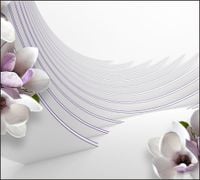 Tło do fotografii produktowej kulinarnej Flat Lay