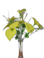 kalie bukiet 5szt.   10-gałązek | DC196