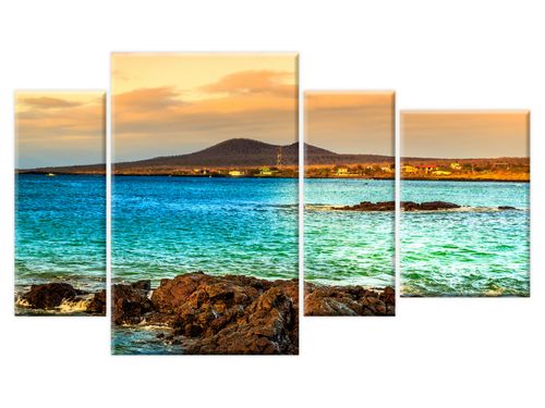 Galapagos 135x80cm GRATISY na Arena.pl