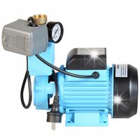 POMPA 750 W HYDROFOROWA do Wody Powierzchniowa WZP 3000 l/h Z OSPRZĘTEM