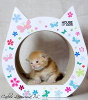 Drapak dla kota Small Cat Flowers