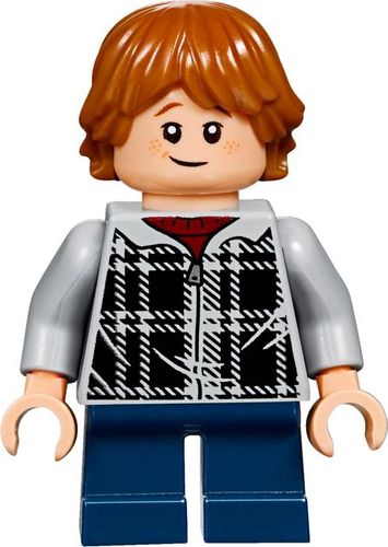 75955 - LEGO Harry Potter - Ekspres Do Hogwartu na Arena.pl