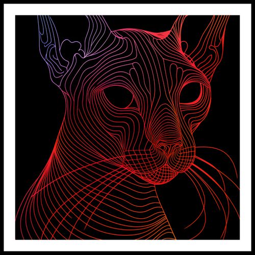 Plakat 60x60cm Cyfrowa Kocica na Arena.pl