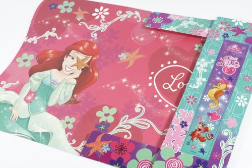 Princess A4 folder na Arena.pl