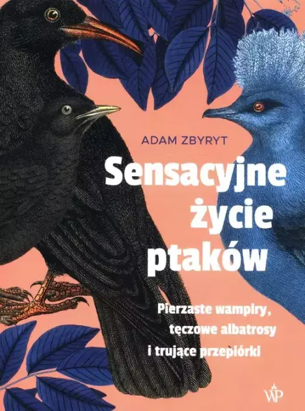 Sensacyjne życie ptaków zdjęcie 1