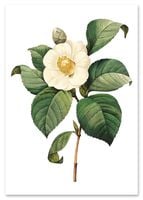 Plakat cyfrowy do wydruku retro rośliny