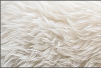 Tło FLAT LAY do fotografii produktowej kulinarnej