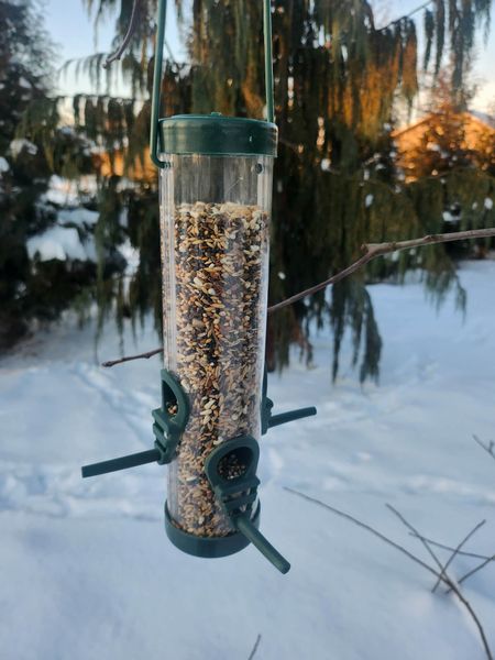 Karmnik dla ptaków na zimę zdjęcie 1