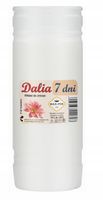 Wkład parafinowy do zniczy MAX-POL Dalia 7