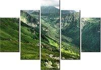 70 100CM OBRAZ 5 ELEM GÓRSKIE ZBOCZE DRUK PŁÓTNO