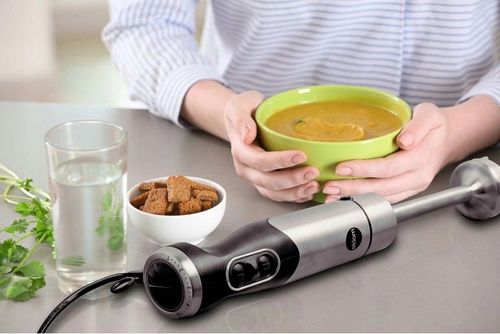 Rozdrabniacz blender ELDOM BL210 SWIT na Arena.pl