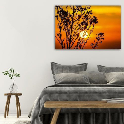 Deco Panel, Zachód słońca za rośliną 60x40 na Arena.pl