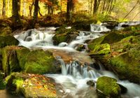 Fototapeta 3D widok POTOK WODOSPAD LAS 200x130 FL