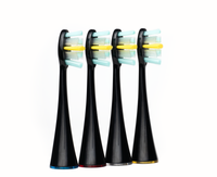 Końcowki Meriden Professional Black