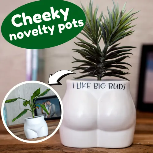 Śmieszna Doniczka do Roślin z napisem „I Like Big Buds” na Arena.pl