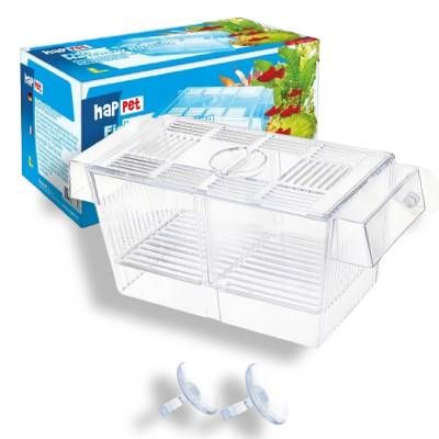 PŁYWAJĄCY KOTNIK DO AKWARIUM PLASTIKOWY GUPIK MIECZYK MALEZYJCZYK ROZMIAR L na Arena.pl