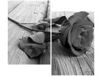 80X70CM CZARNA PIĘKNOŚĆ DUO OBRAZ