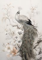 Plakat 42x59,4cm Pawia Gracja