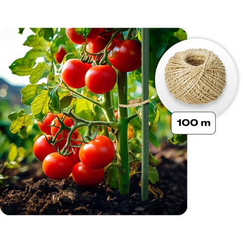 Tunel ogrodowy 2x3m 6m2 Plonos na Arena.pl