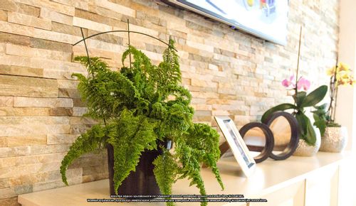 Podpora doniczkowa [2173], ELGarden na Arena.pl